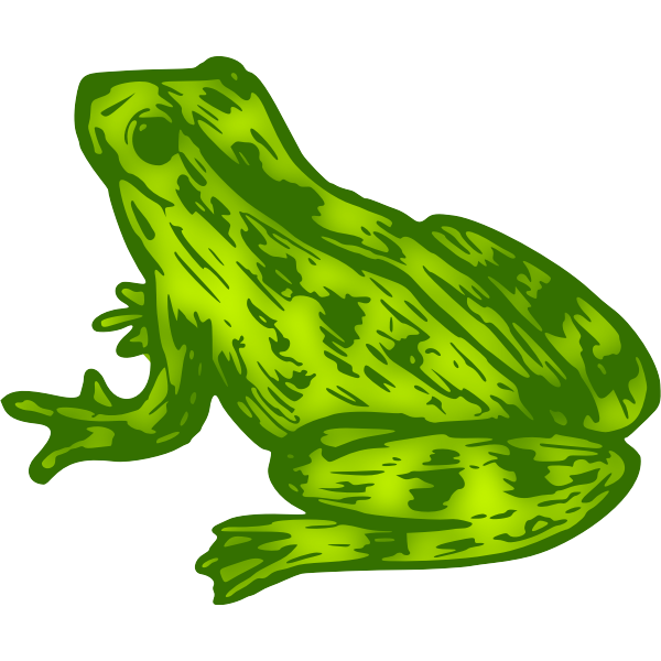 Frog 9 Colour