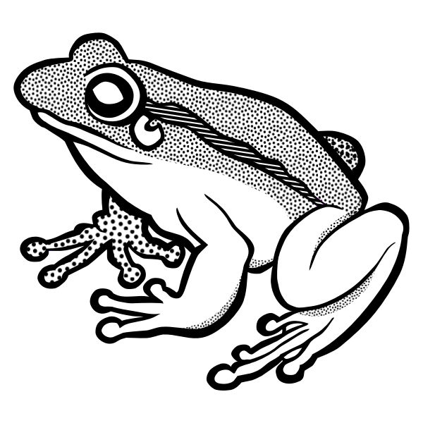 Vector clip art of waiting frog in black and white