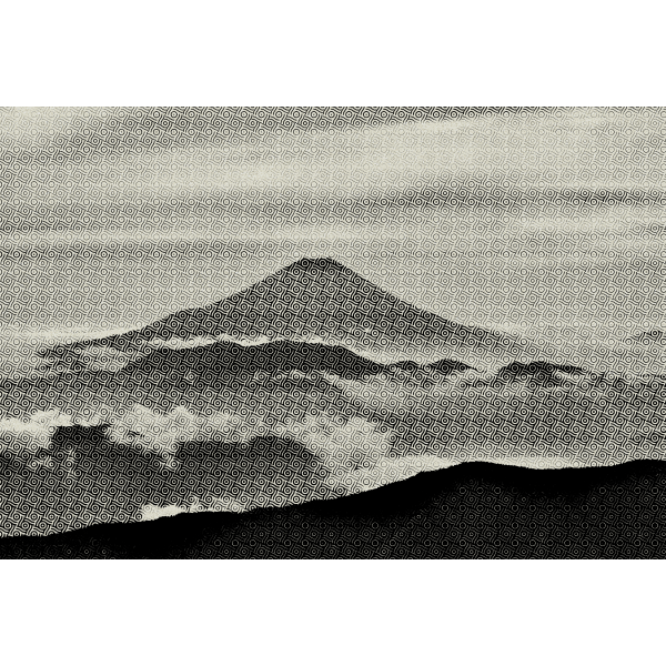 Fuji Mountain Grainy Texture