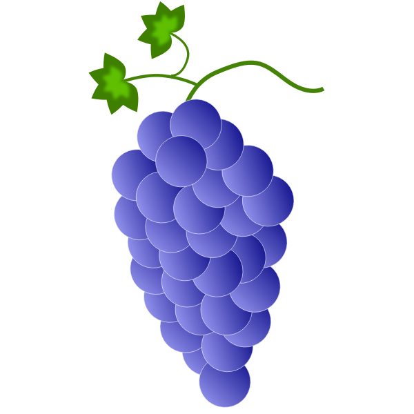Violet grapes