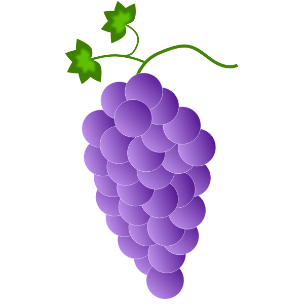 Purple grapes