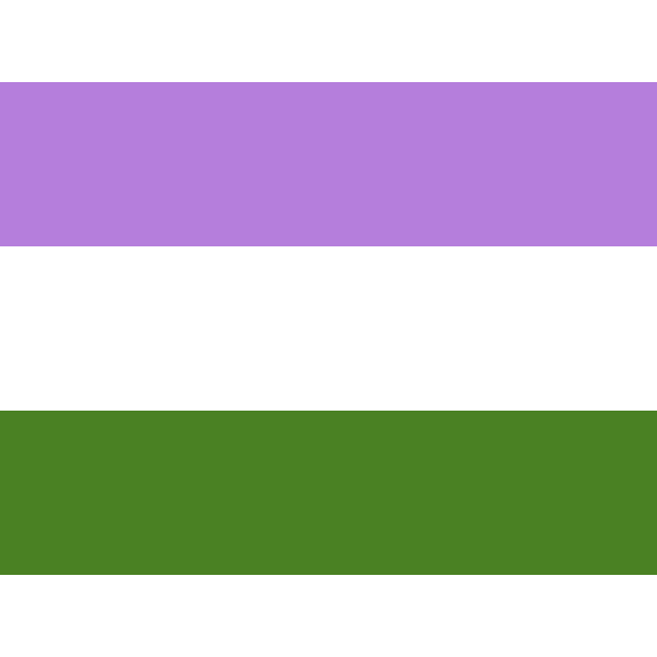 Genderqueer flag pride