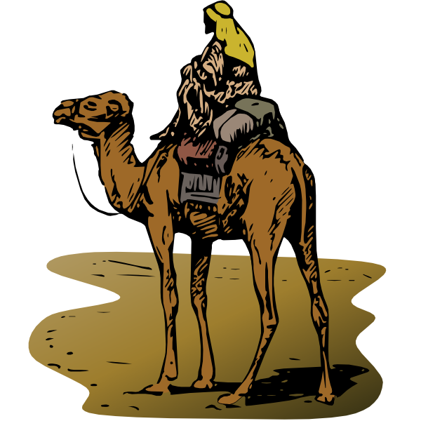 Camel with rider vector clip art