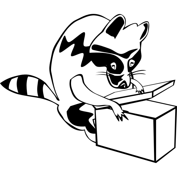 Raccoon opening box vector image