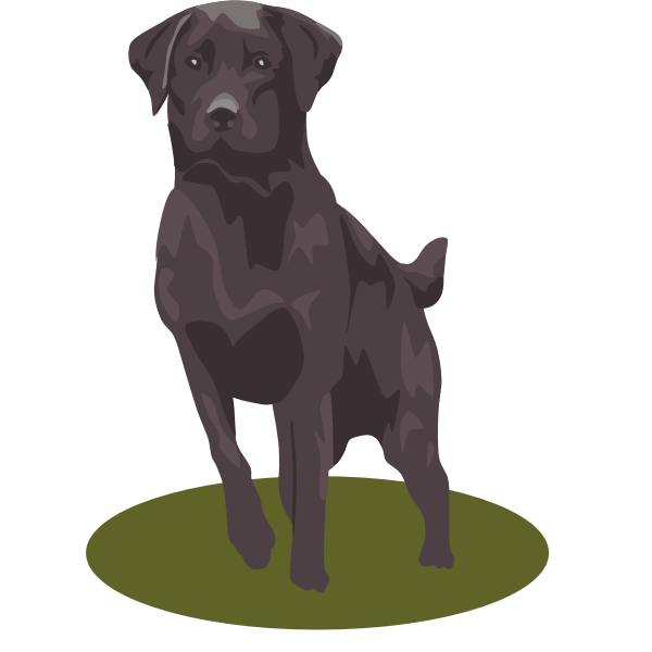 Download Black Lab Dog Vector Image Free Svg