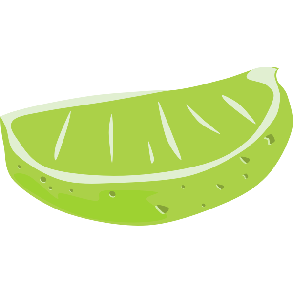Sliced lime vector drawing