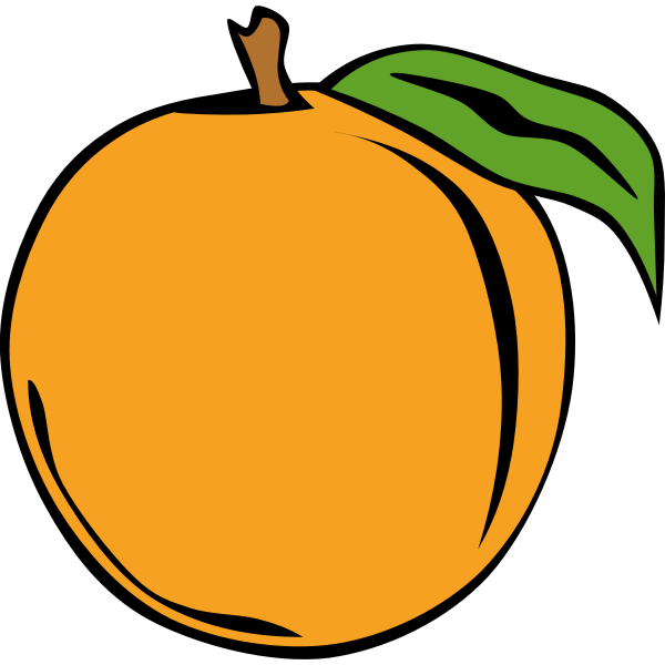 Peach fruit vector clip art | Free SVG