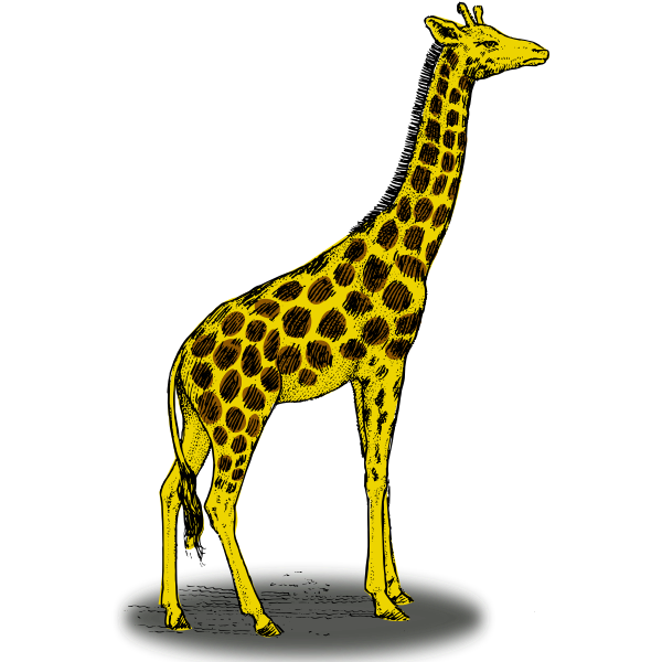 Download Colored Giraffe Vector Clip Art Free Svg