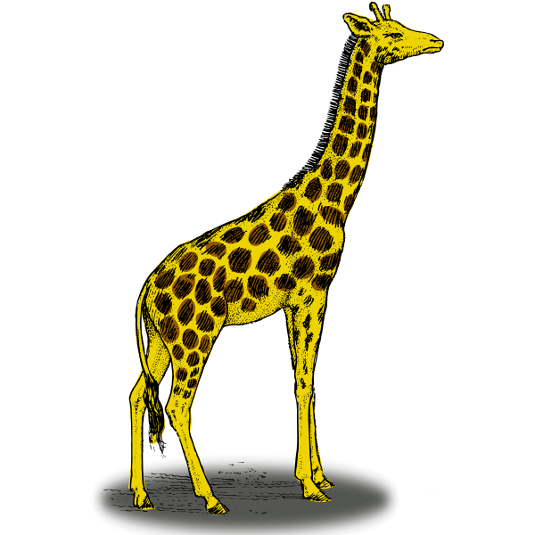 Colored giraffe vector clip art | Free SVG