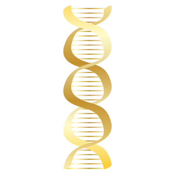 Gold DNA icon