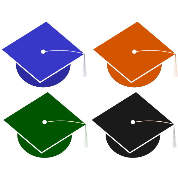 Graduation hats vector illustration