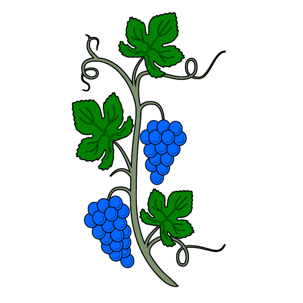 Grapes 28