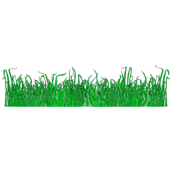 Grass for the lawn