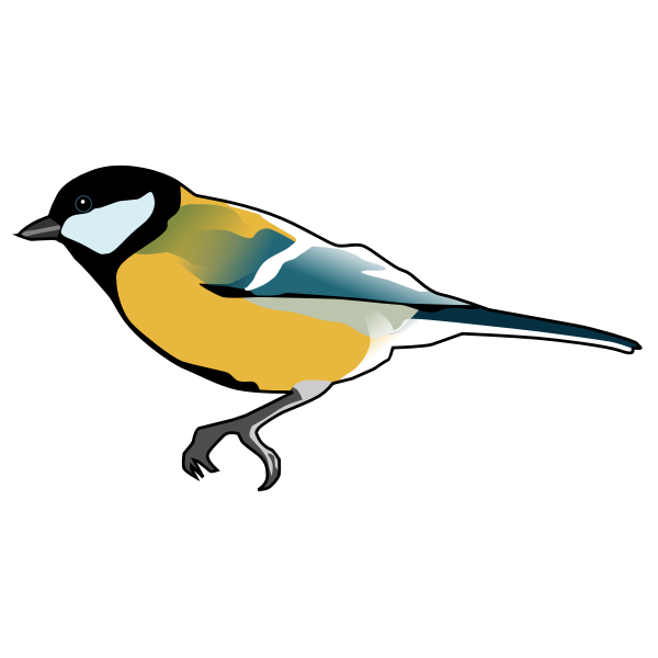 Great Tit bird drawing | Free SVG