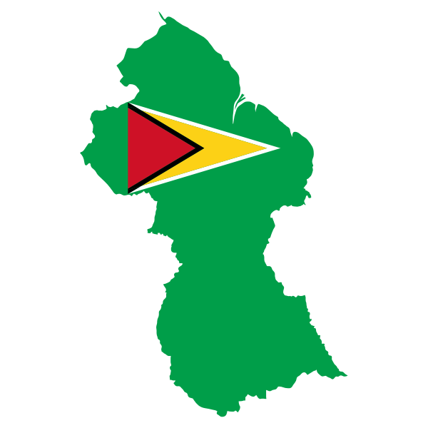 Guyana's flag