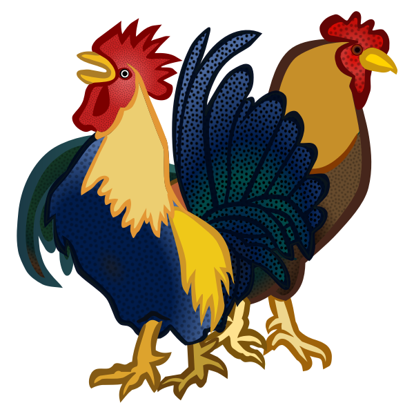 Two roosters