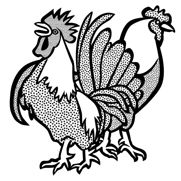 Two chickens vector image