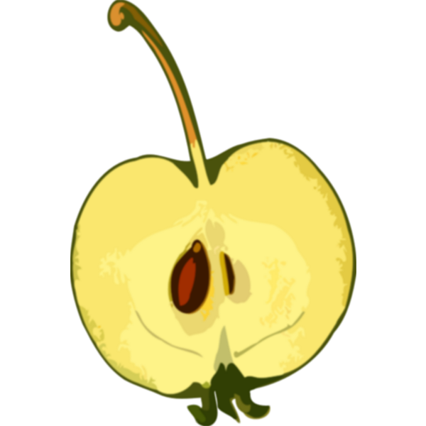 Seed and apple
