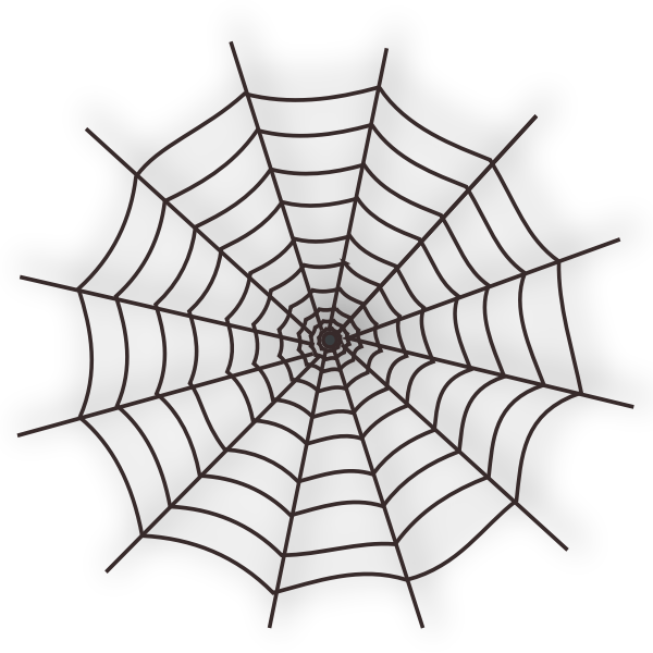 Vector illustration of spider web