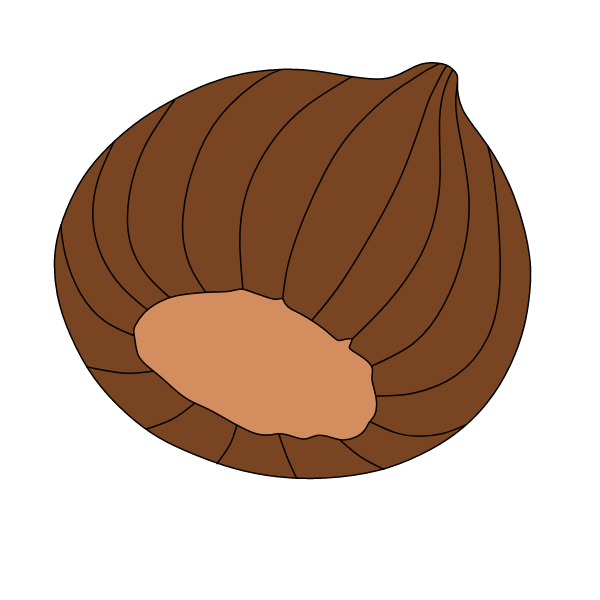 Hazelnut VII