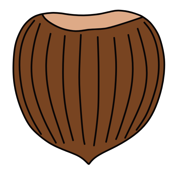 Hazelnut VI