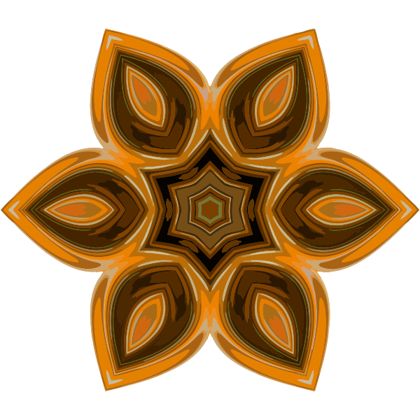 Hexagonal Symmetry Ornament-1594302324