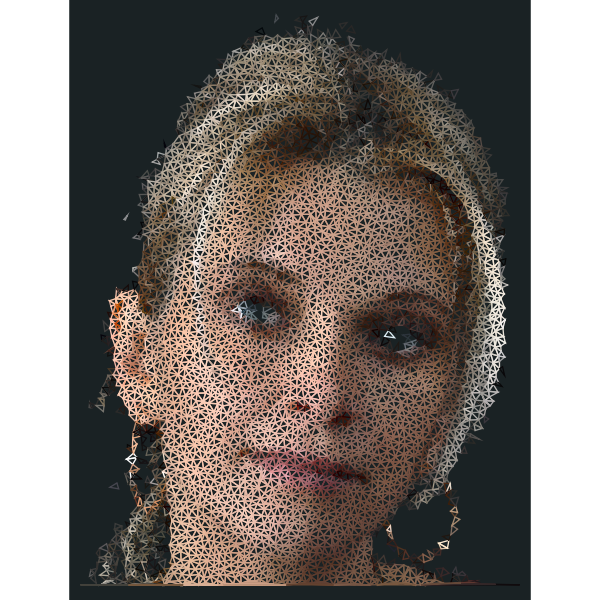 High Poly Blonde Woman Portrait Wireframe