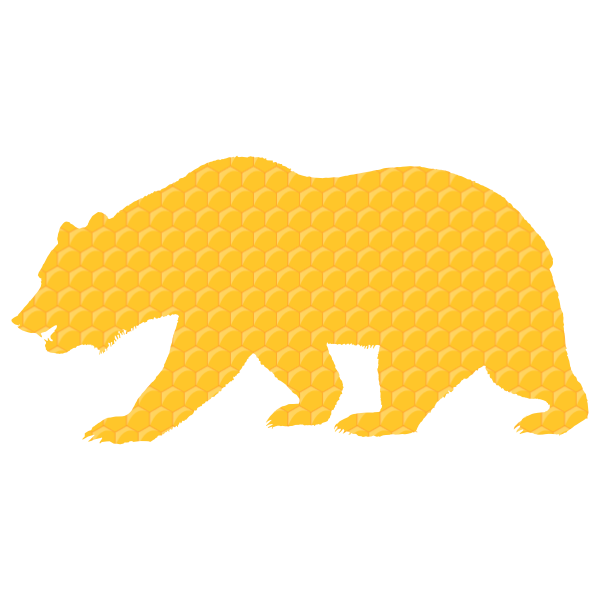 Honeycomb Bear