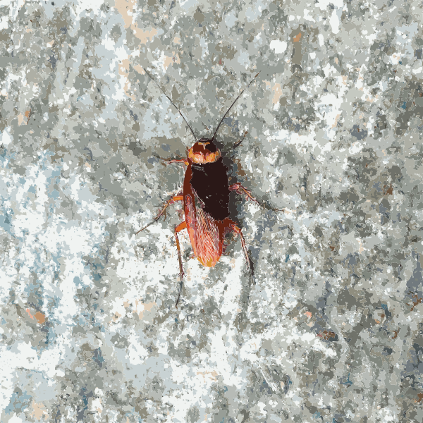 Hong Kong Bug 2015033046