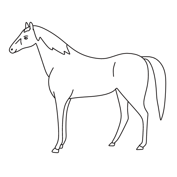 Horse 29