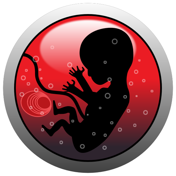 Human embryo vector silhouette