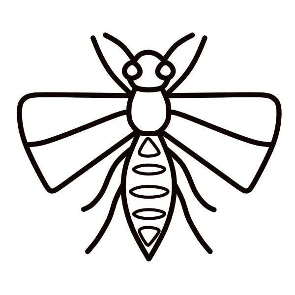 Insect X