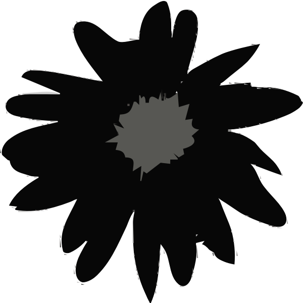 Daisy in black color