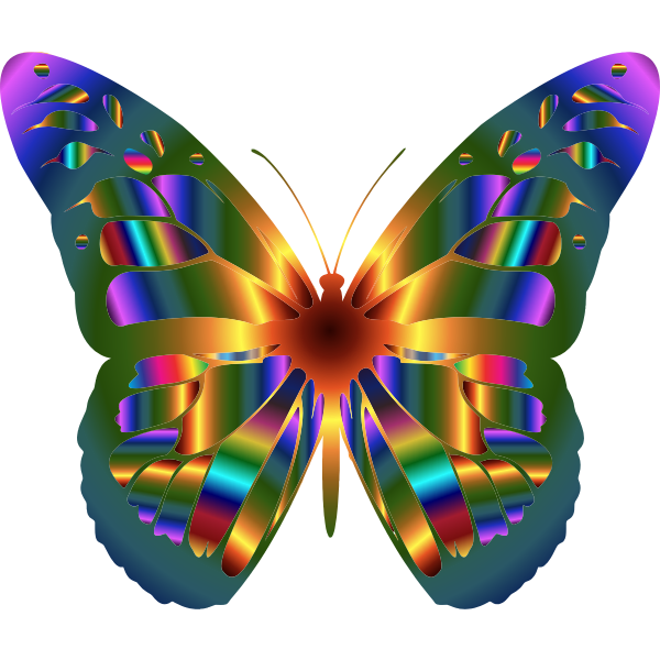 Iridescent Monarch Butterfly 12
