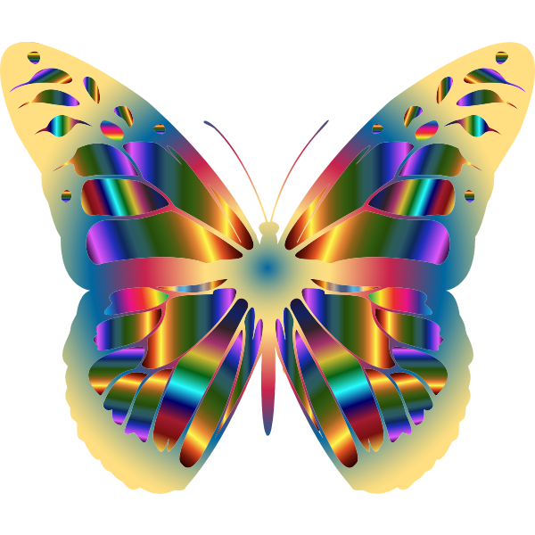 Iridescent Monarch Butterfly 14