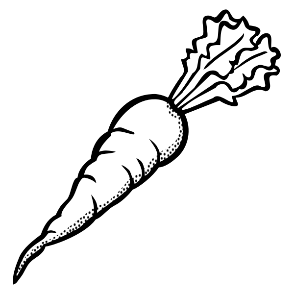 Clip at of ripe carrot in black and white