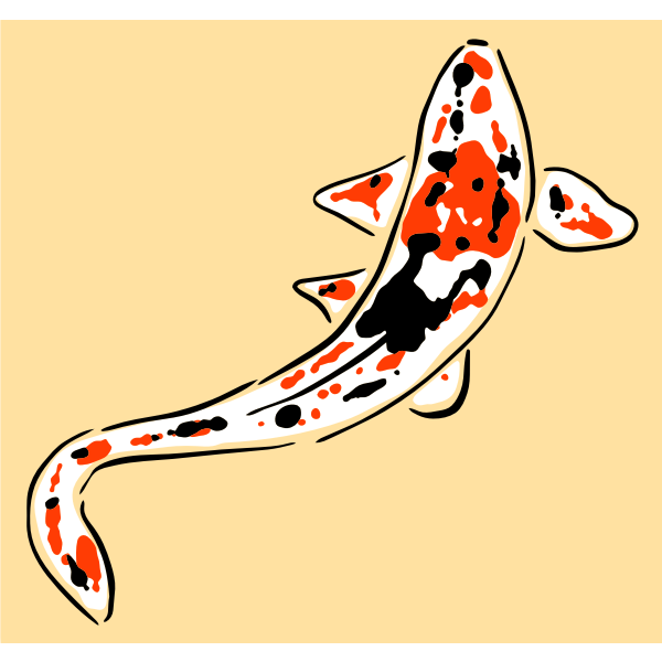 Koi fish