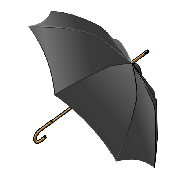 Black umbrella vector image