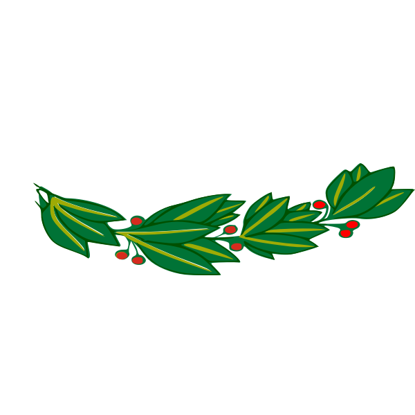 Laurel branch with red berries vector drawing