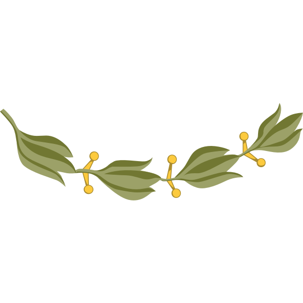 Laurel branch with yellow berries