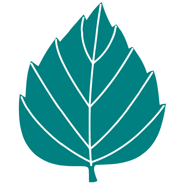 Leaf 11