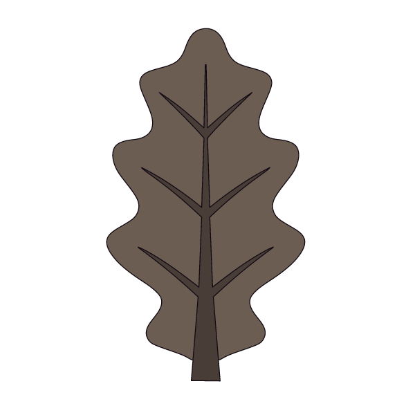 Leaf 14