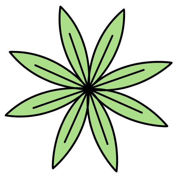 Leaf 6