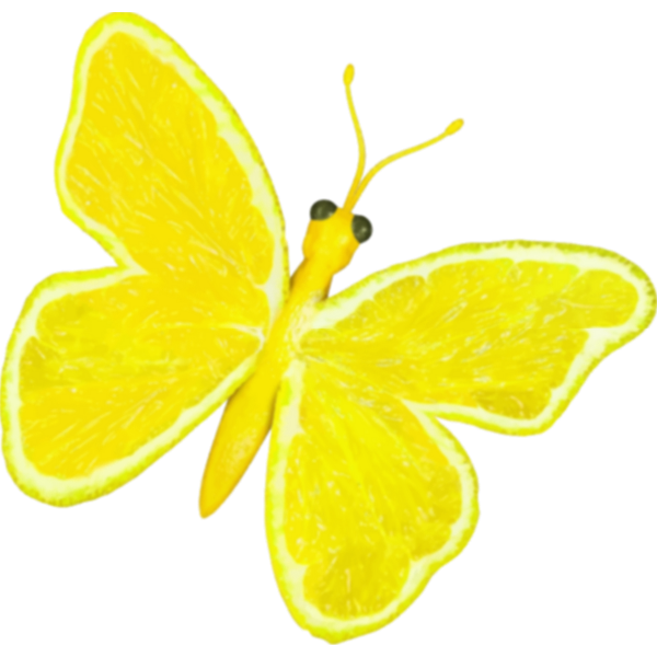 Citrus fruit butterfly