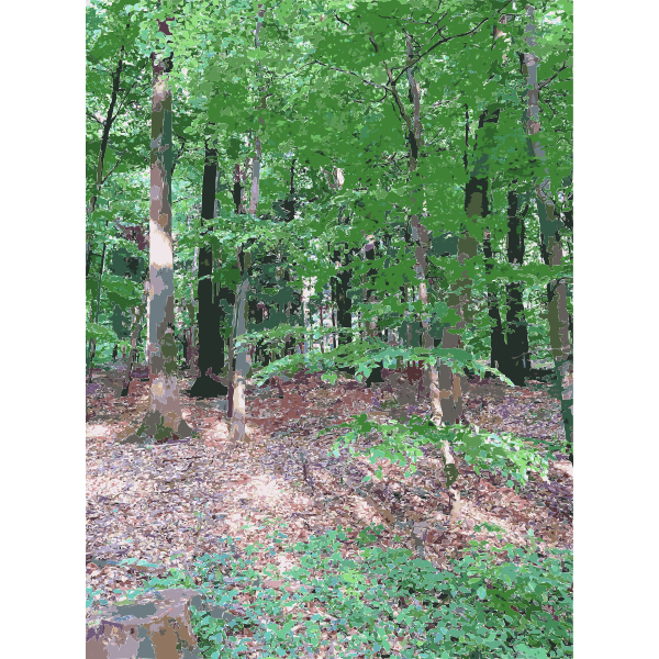Lichtscheid Forest Again 1 2015071547