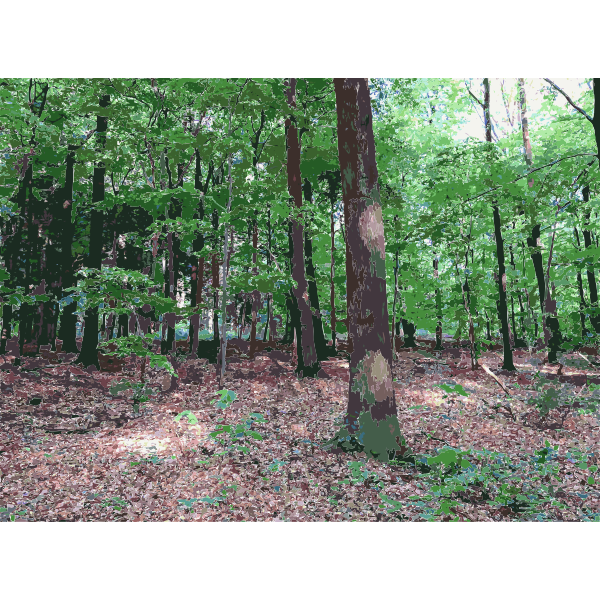 Lichtscheid Forest Again 3 2015071547