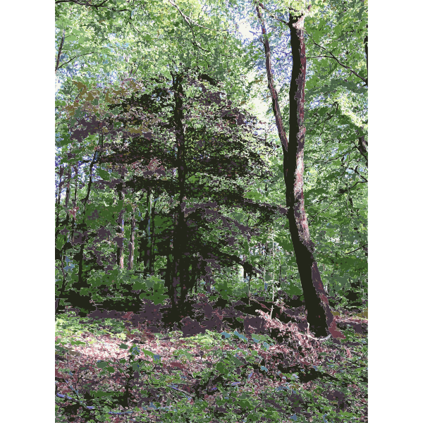 Lichtscheid Forest Again 4 2015071547