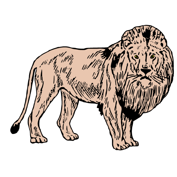 Lion X