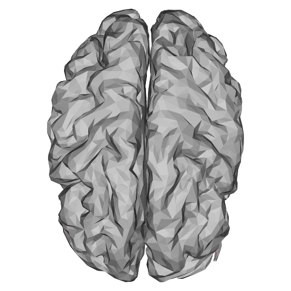 Low Poly 3D Brain