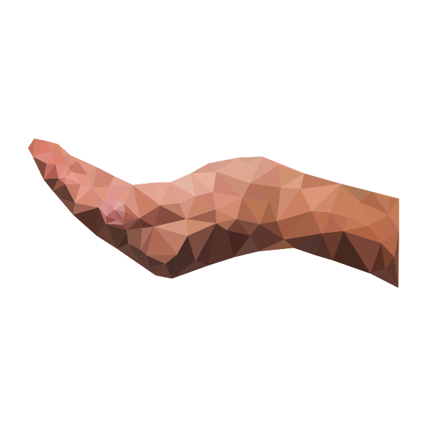 Low Poly Cupping Hand Horizontal